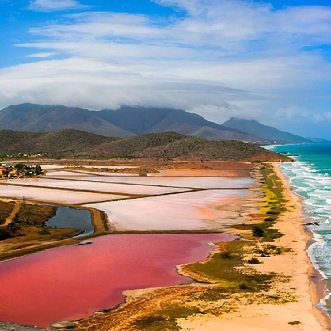 Adultos mayores disfrutando